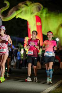 BIB: 
                            <button type="button" onclick="openModal(26530928)" class="btn btn-primary btn-sm float-right btn-popup" data-toggle="modal" data-target=".modal-high-quality">
                        <i class="fas fa-shopping-cart"></i> Add to Cart
                    </button>
                                            <button type="button" onclick="isThisMe(26530928, true)" class="btn btn-success btn-sm float-right btn-popup btn-isme hidden" data-toggle="tooltip" data-placement="bottom" title="นี่คือรูปของคุณใช่ไหม คลิกที่นี่เพื่อเอาเข้าอัลบั้ม">
                        <i class="fas fa-plus"></i> Add to album
                    </button>
                    <button type="button" onclick="isThisMe(26530928, false)" class="btn btn-warning btn-sm float-right btn-popup btn-isnotme hidden">
                        <i class="fas fa-ban"></i> Remove from album
                    </button>